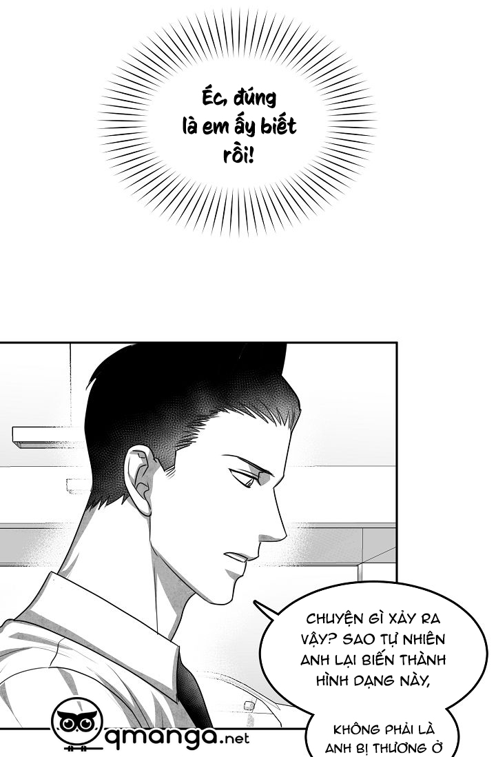 khi cún biết yêu chapter 12 45