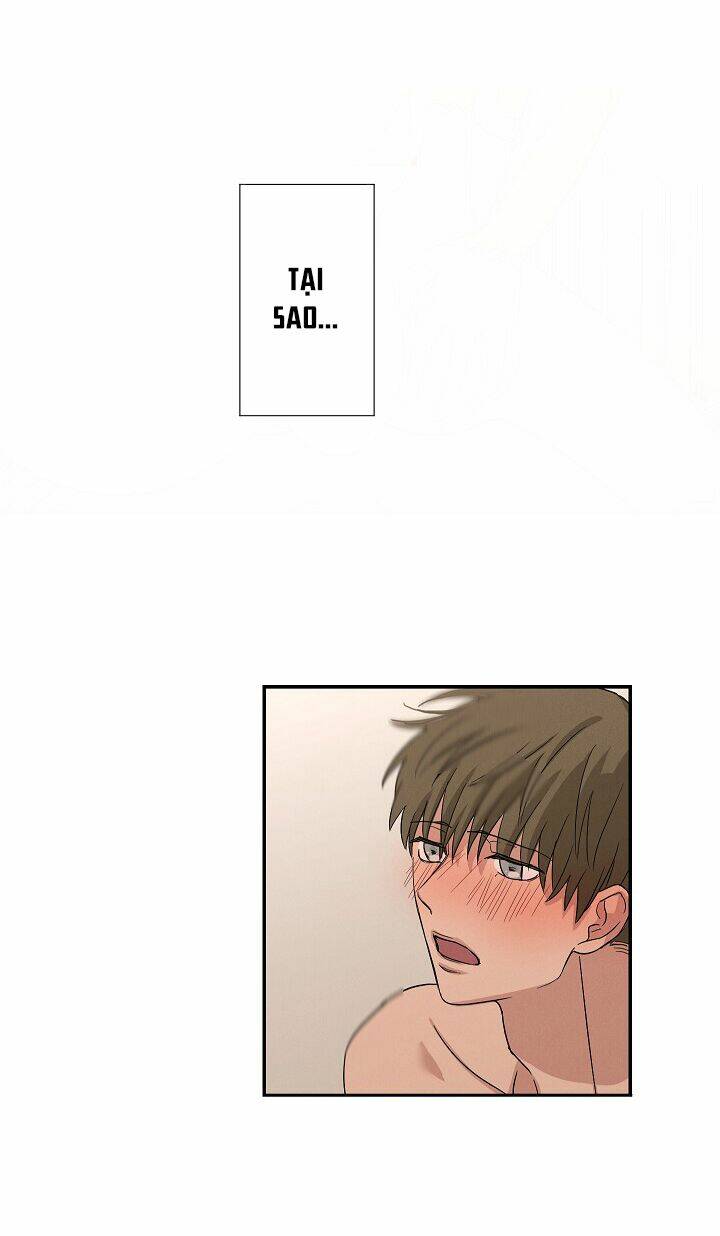 trốn tìm chapter 10 29