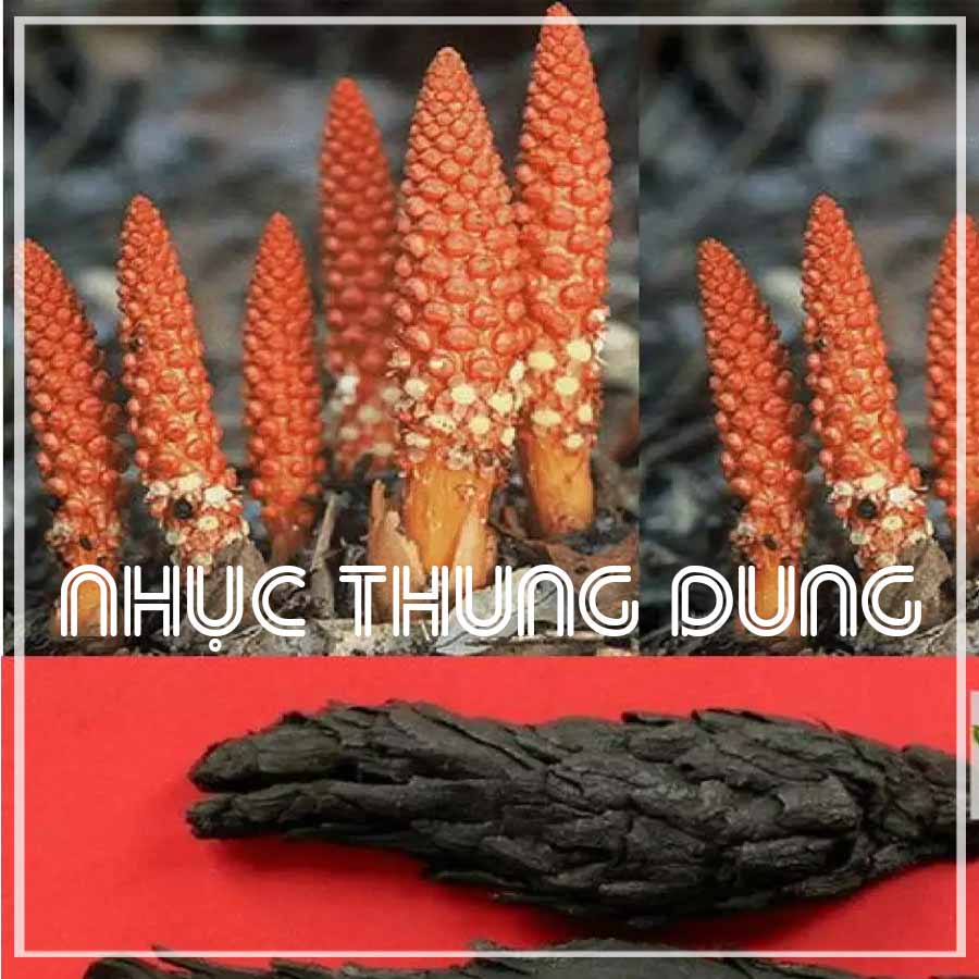 Nhục Thung Dung khô đóng gói 500g hút chân không