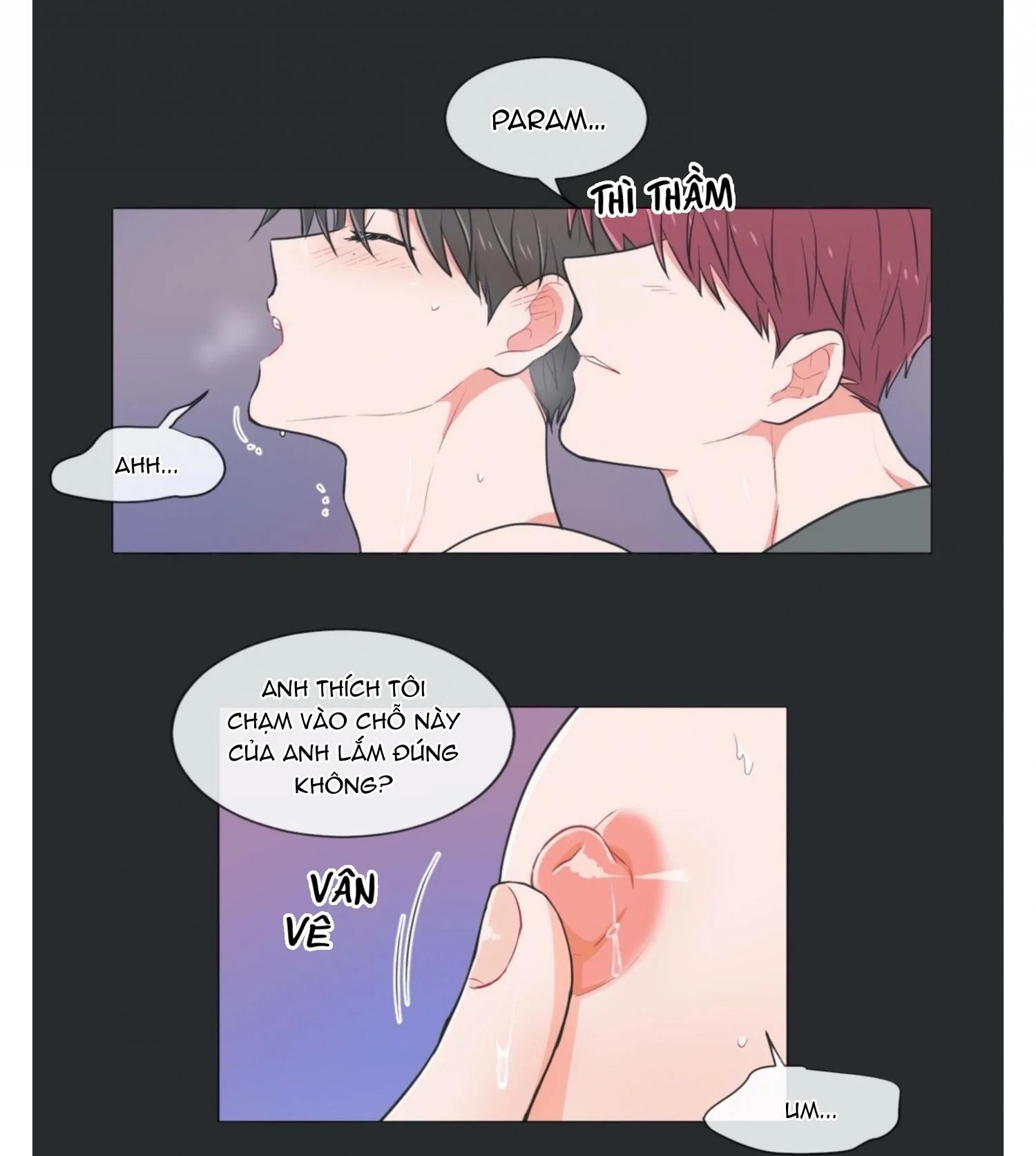 anti p.t chapter 31 2