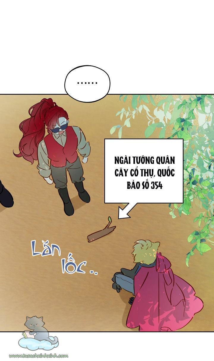 trang trại hạt dẻ cạnh hoàng cung chapter 15 24