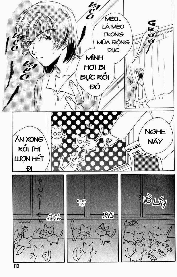 sukijanai kedo aishiteru chapter 7 4