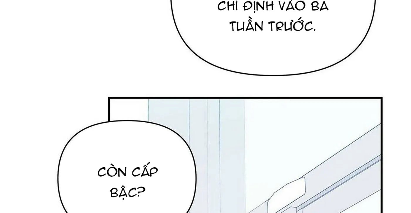 guide cấp b chapter 4 23