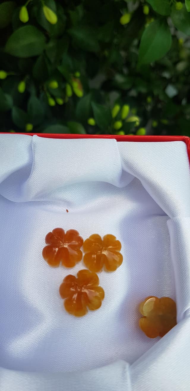 Mặt Bông Hoa cỏ 4 lá màu vàng cam nữ phối vòng tay,làm mặt nhẫn Chất liệu đá cẩm thạch size hạt 14mm x dầy 6mm Nữ về phối với vòng tay của mình đeo hay làm mặt nhẫn mặt dây chuyền đeo xinh ạ