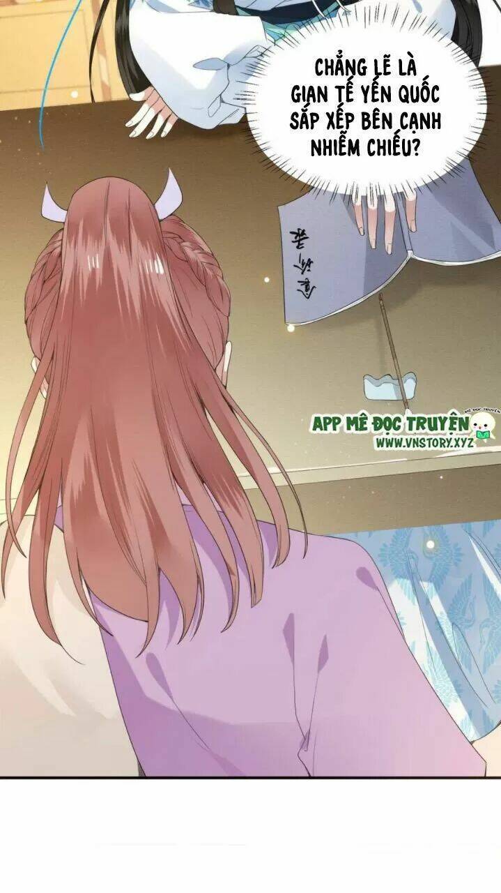 phượng hoàng vu phi chapter 76 5