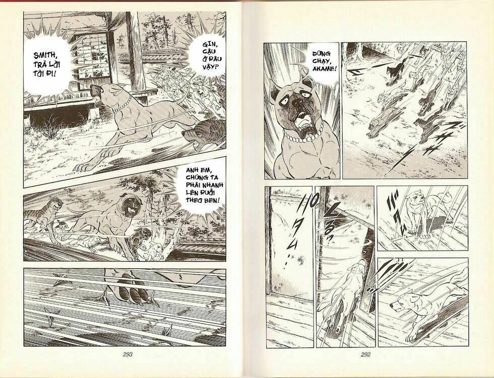 chú chó có nghĩa - ginga nagareboshi gin chapter 18 14