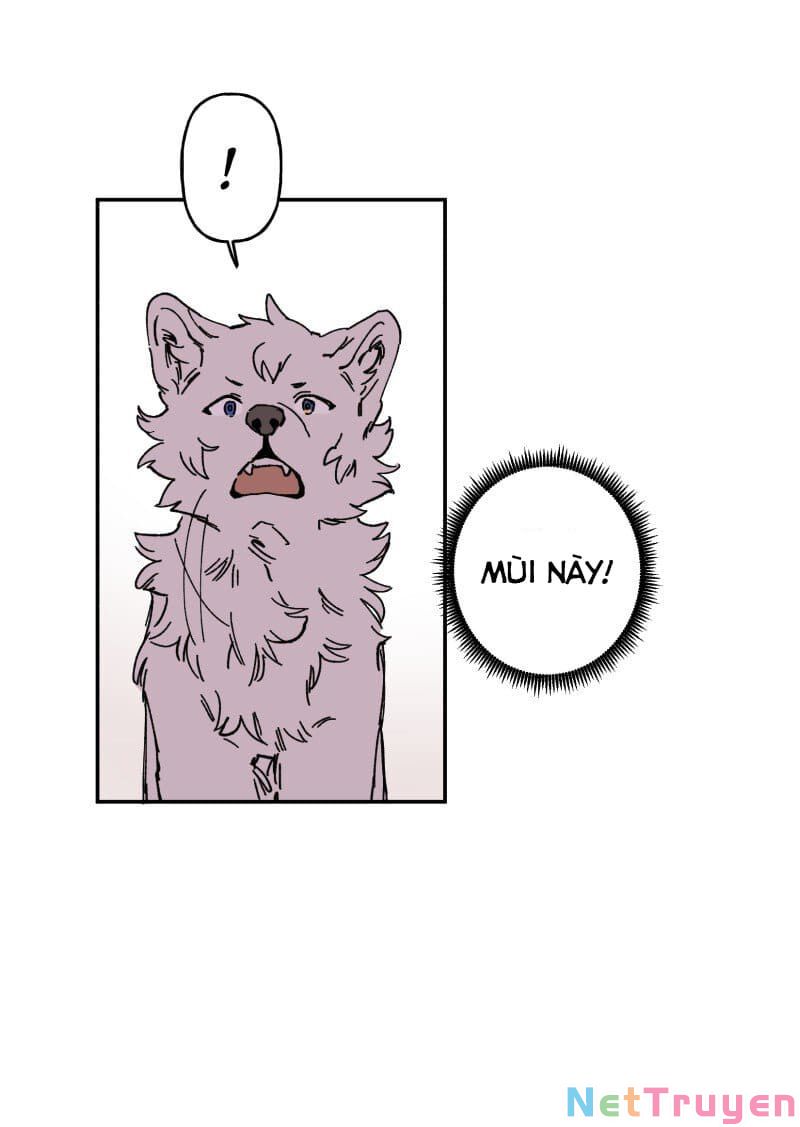 lumine - cội nguồn ánh sáng chapter 89 29