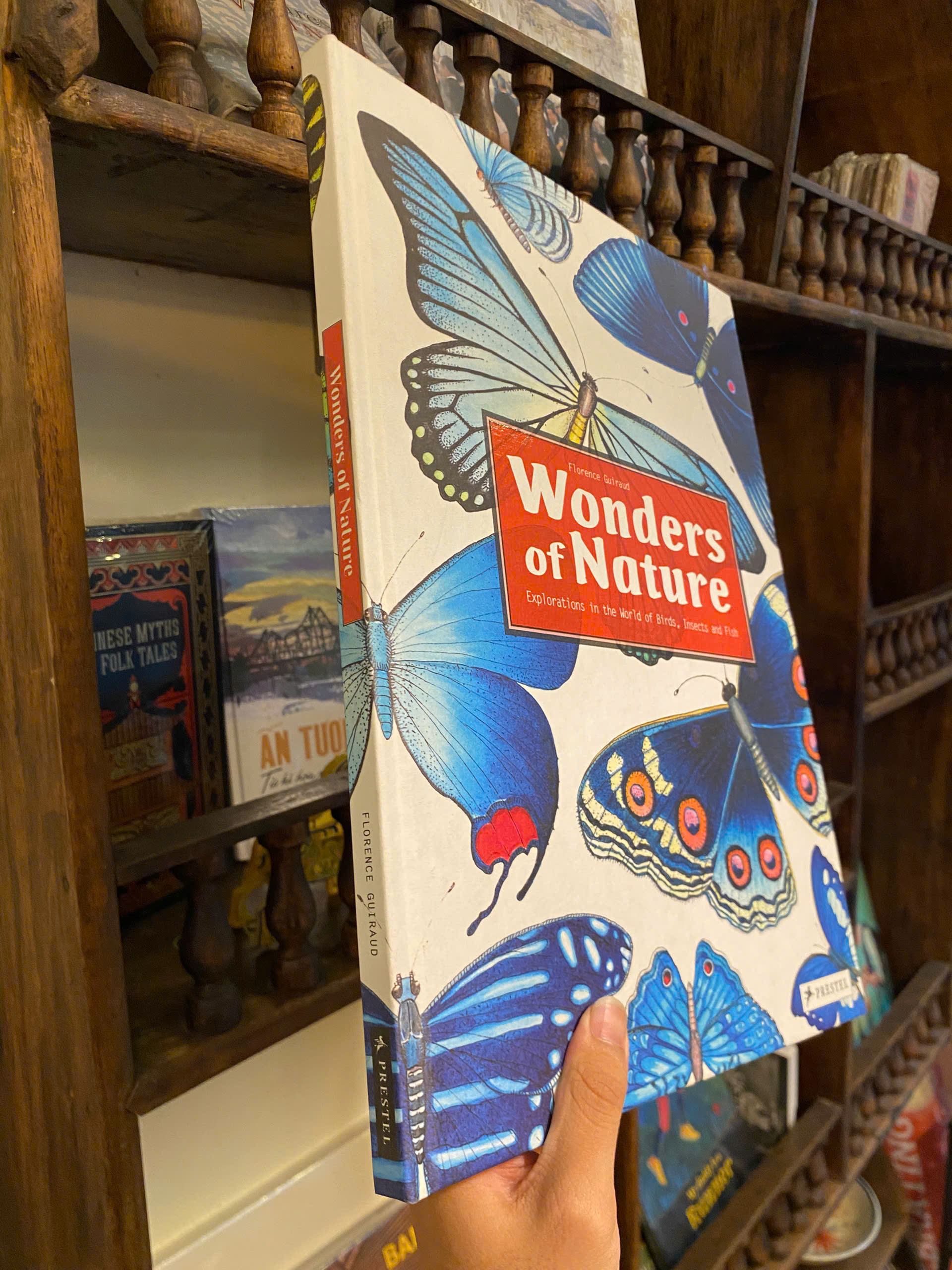 Sách - Wonders of Nature: Explorations in the World of Birds, Insects and Fish by Florence Guiraud