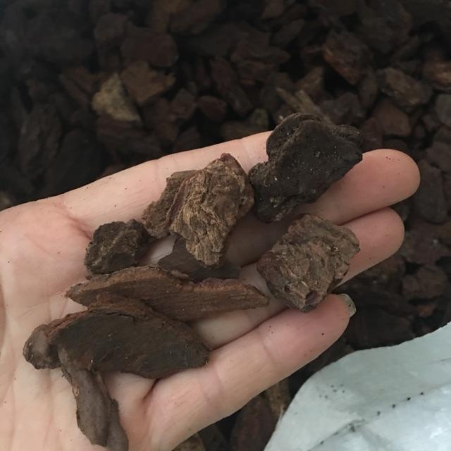 Vỏ thông trồng lan dánh tròn đầu, đã được xử lý