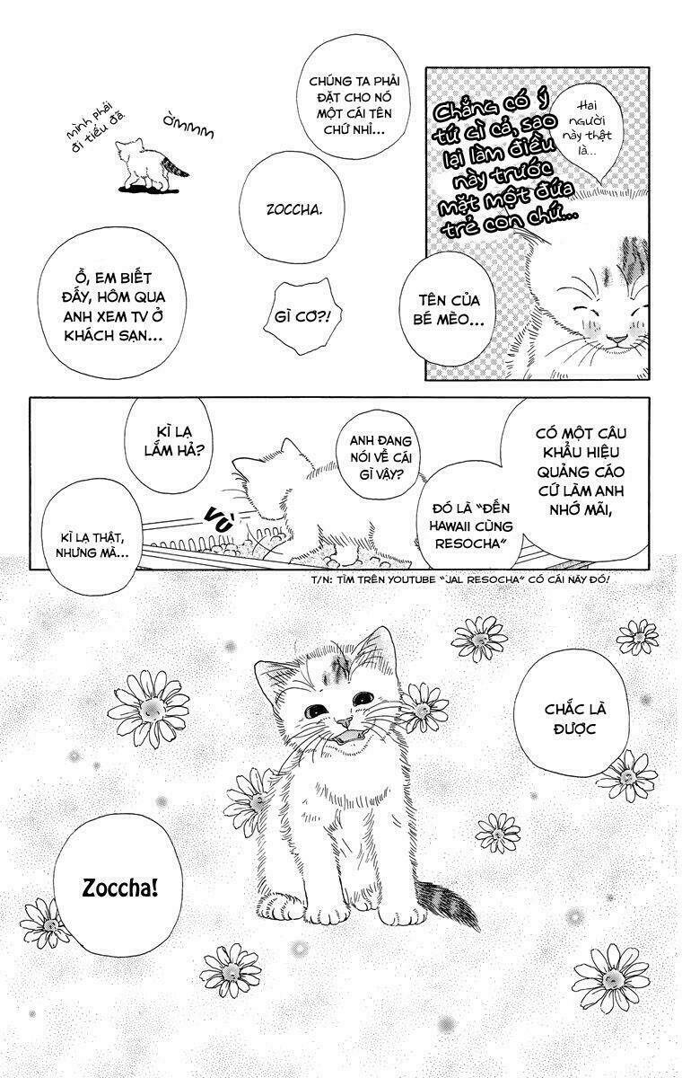 cuộc sống thường nhật của mèo zaccho chapter 1.5 33