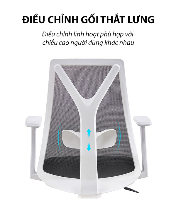 Ghế công thái học Ergonomic Express 01 - Ghế văn phòng làm việc tối ưu hỗ trợ tốt cột sống