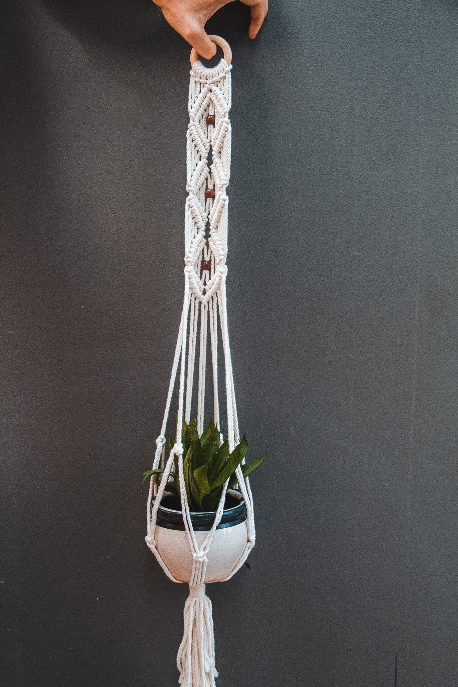 Dây Treo Cây Trang Trí Macrame Boho- Sản Phẩm Handmade, Dùng Treo Tường Decor Trong Nhà Ở, Văn Phòng Làm Việc, Homestay, Quán Cà Phê