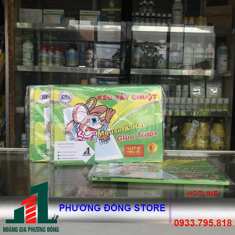 Keo dính chuột giấy