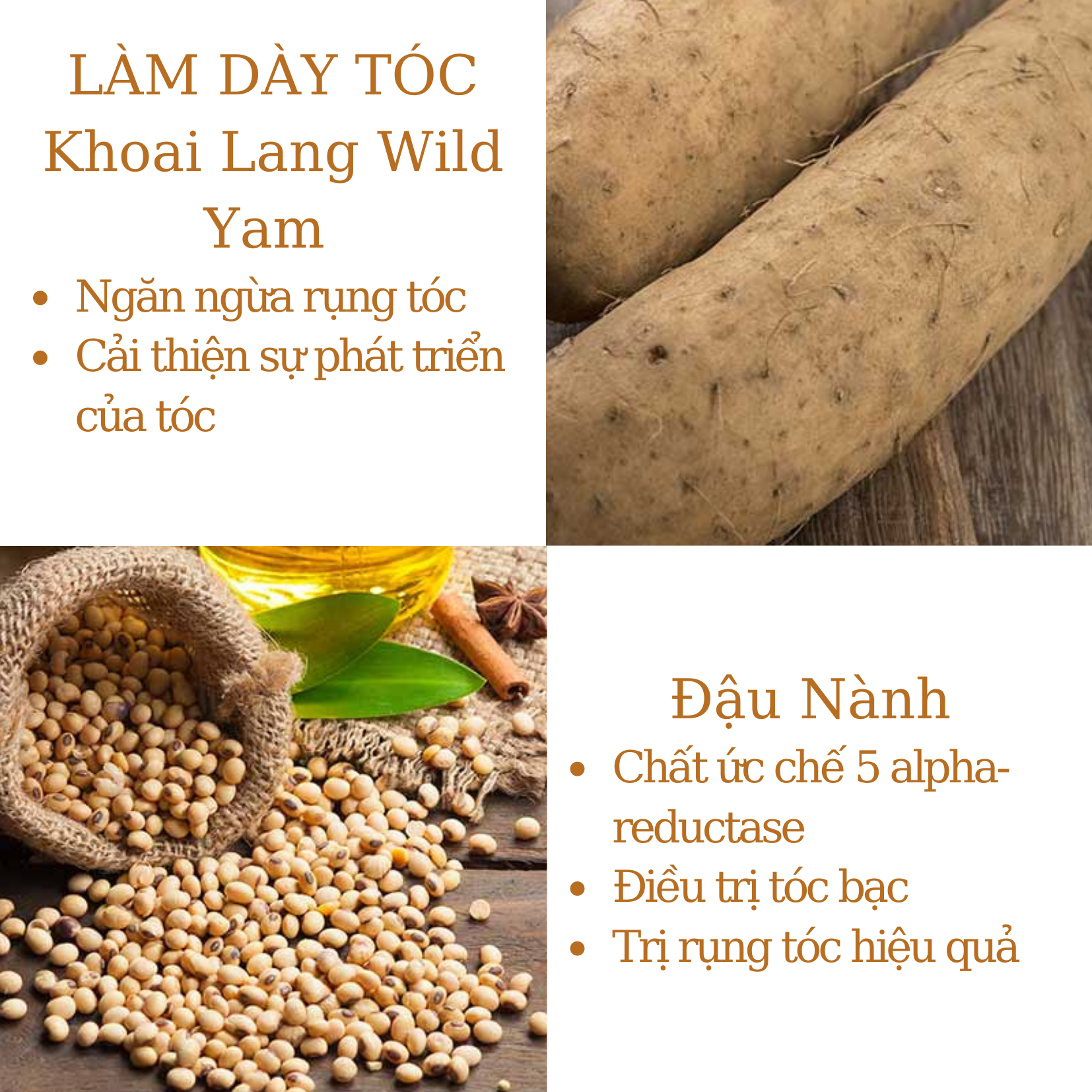 Tinh Dầu Dưỡng Tóc Giúp Mọc Tóc Chắc Khỏe Bền Bỉ, Giảm Gãy Rụng, Hương Thơm Đặc Biệt Hair Thickening Tonic 125ml