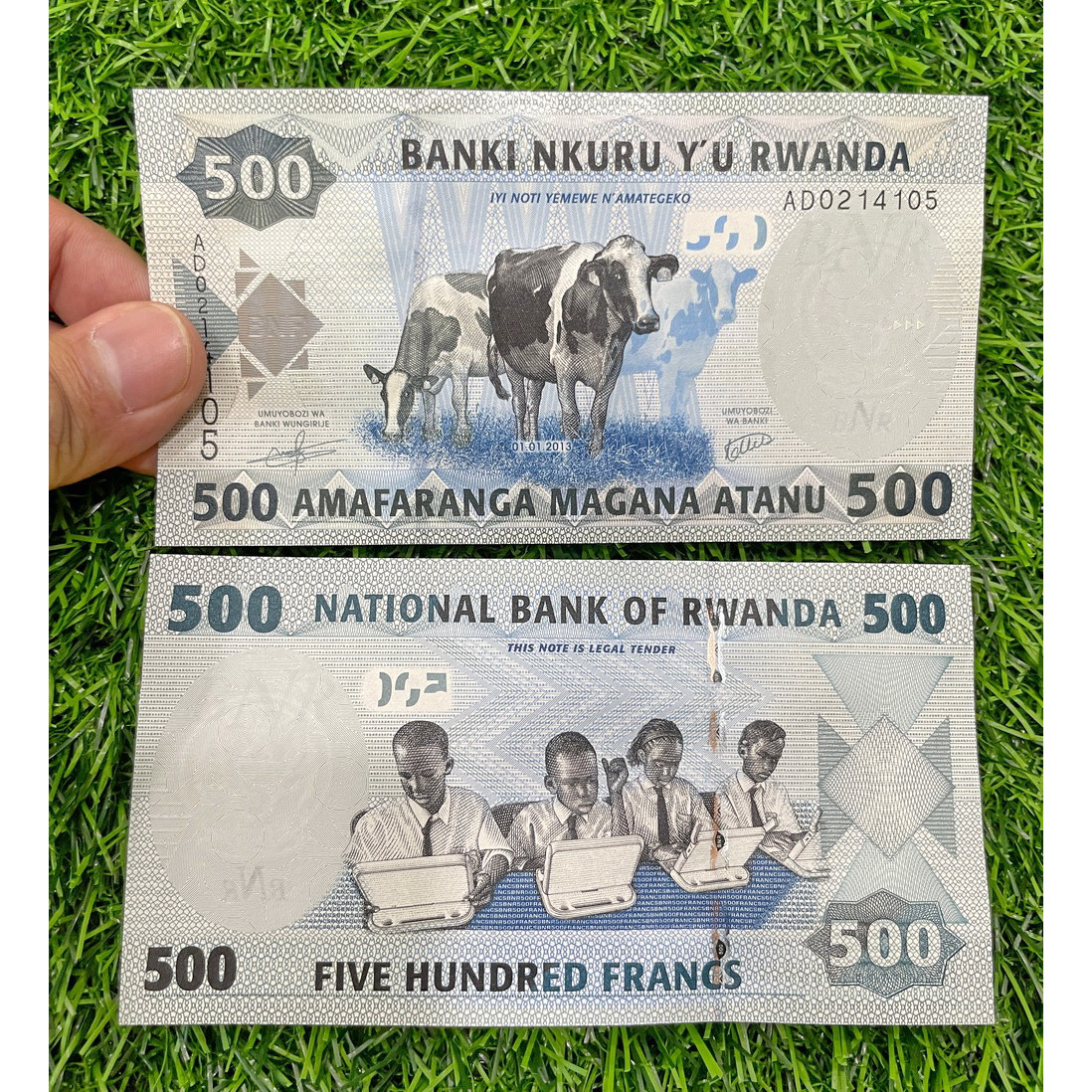 Tờ tiền hình con bò của Rwanda mệnh giá 500 Francs - mới 100% UNC - tặng kèm túi nilon bảo quản