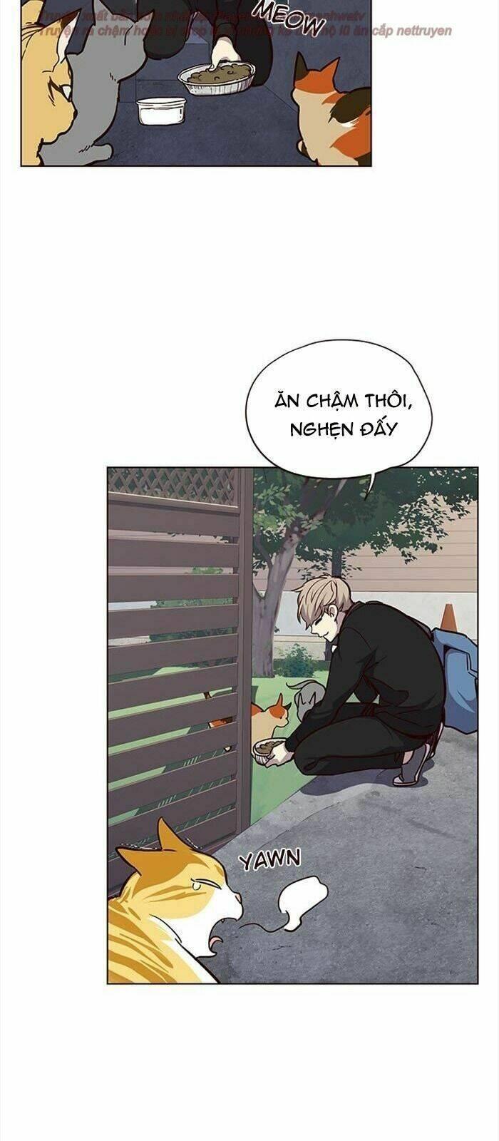 biến thân thành mèo chapter 36 94