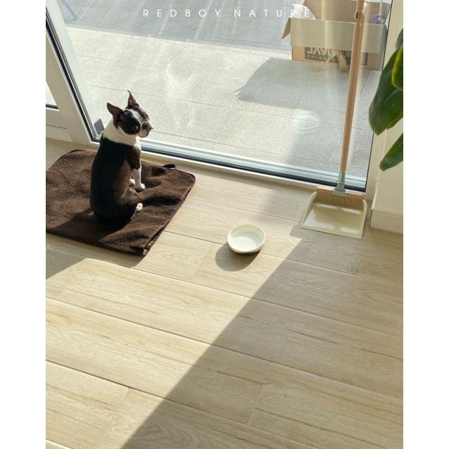 BỘ CHỔI QUÉT DỌN