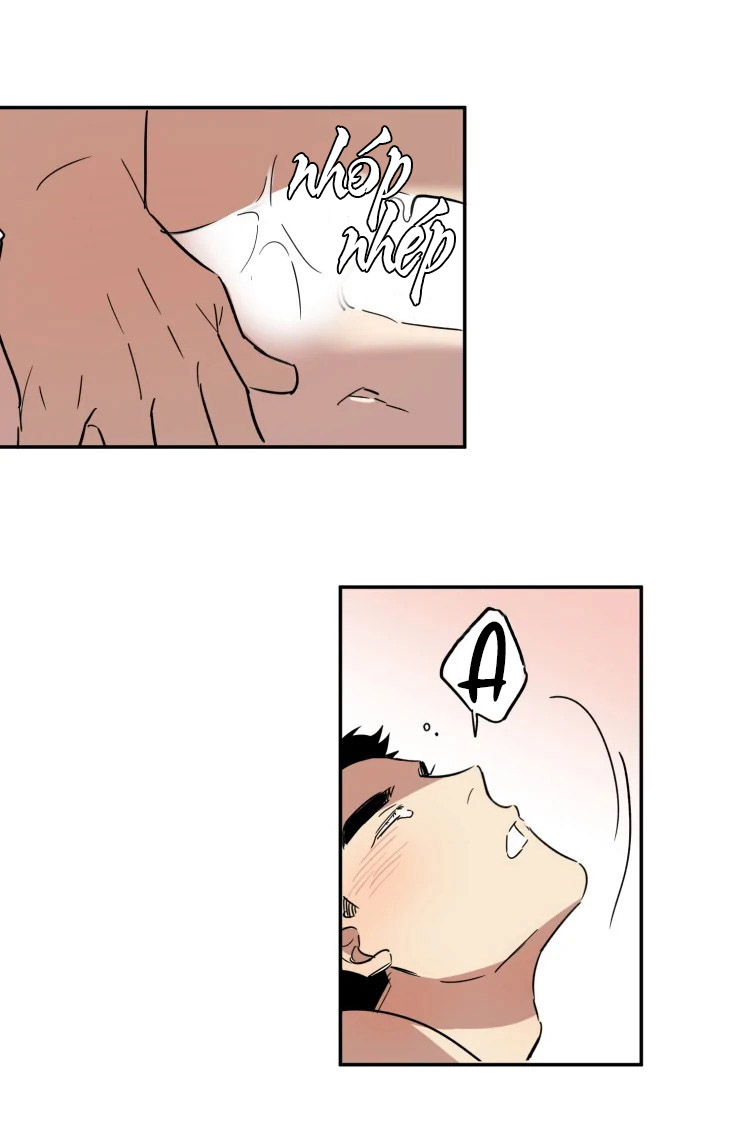 công dụng của cà vạt chapter 29 9