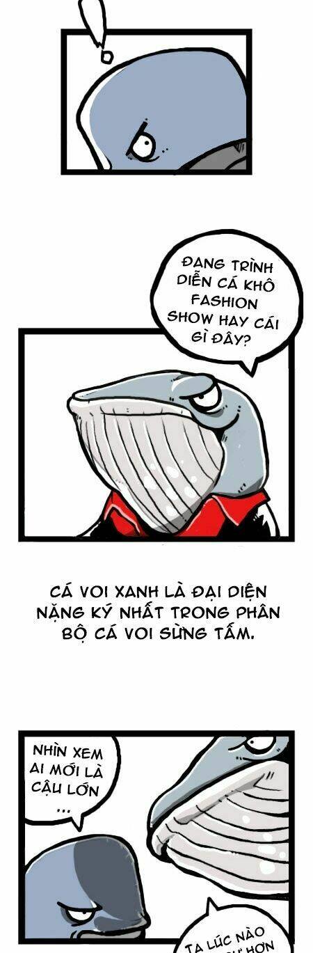 earth, human, and animal chapter 13 9