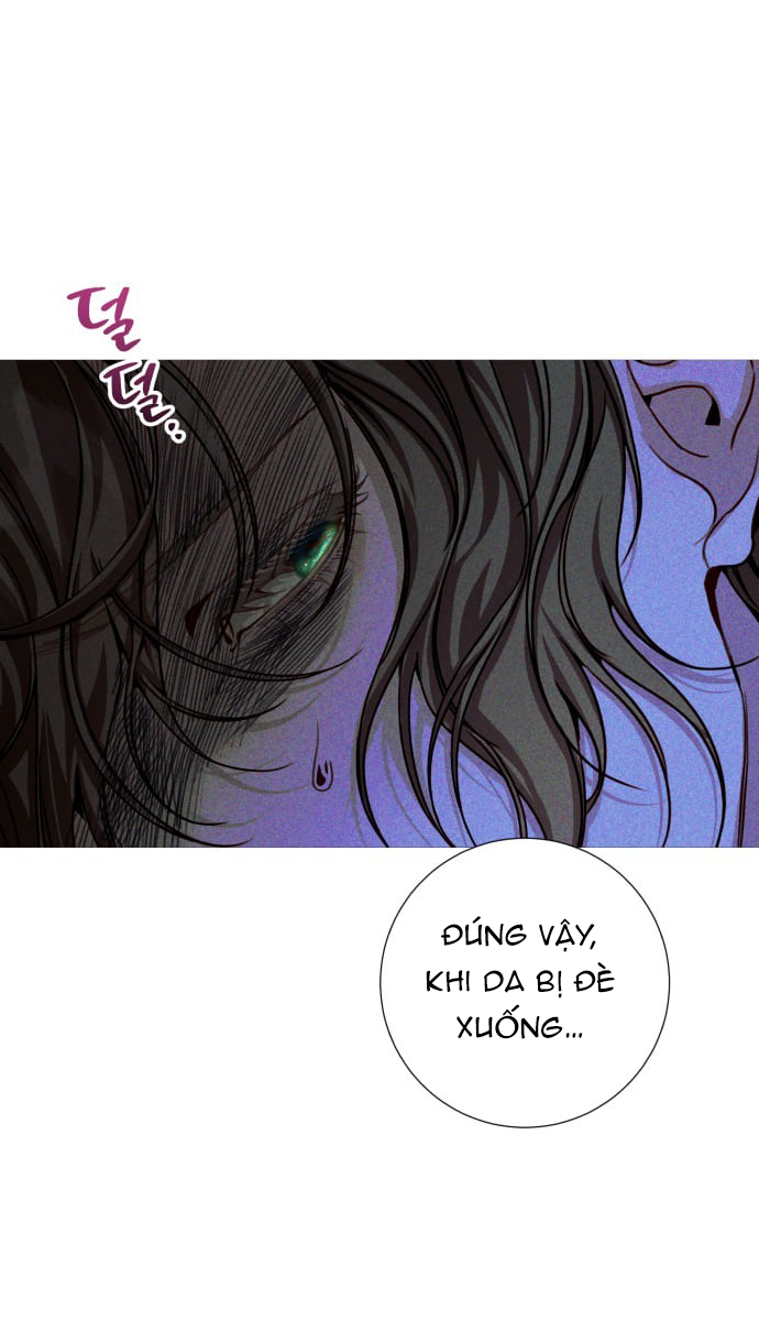 the queen of flies chapter 3.1 33