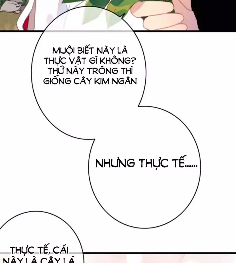 dữ tử thành thuyết chapter 25 30