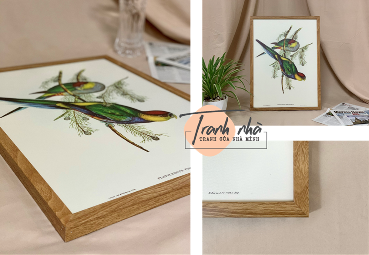 Tranh canvas vintage  - Chim sẻ (Cysticola lineocapilla) - BVT-65