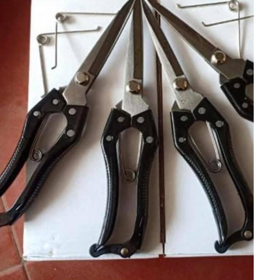 Kéo cắt tỉa cây cảnh mũi nhọn dài 24cm sắc bén LV222