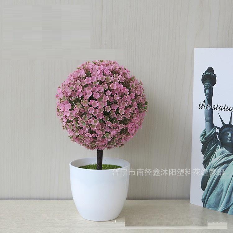 Chậu hoa cẩm tú cầu để bàn, để trang trí kệ treo tường .