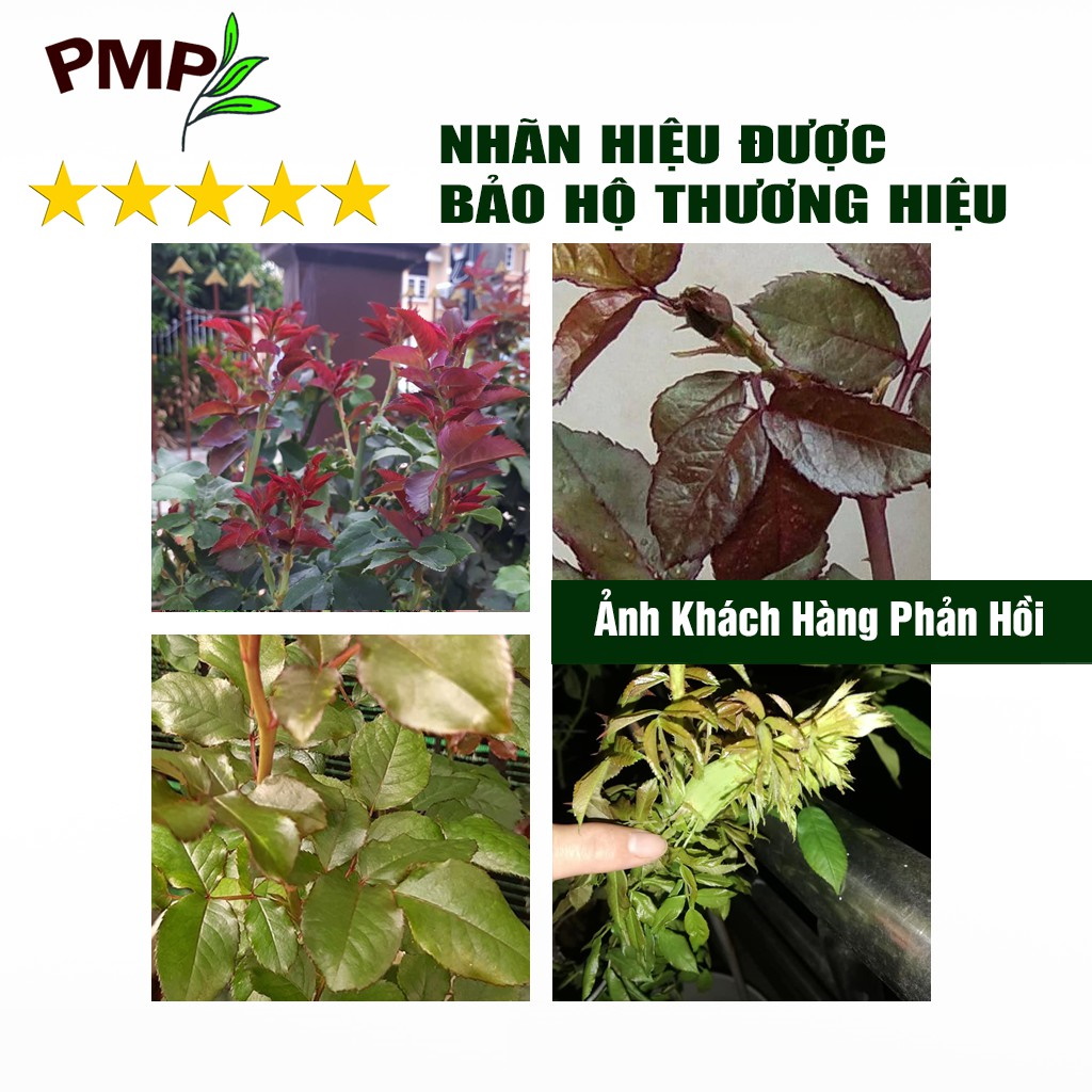 Phân tan chậm vi sinh siêu lân PMP bón cho hoa hồng, cây cảnh, rau sạch dạng viên nén 2kg