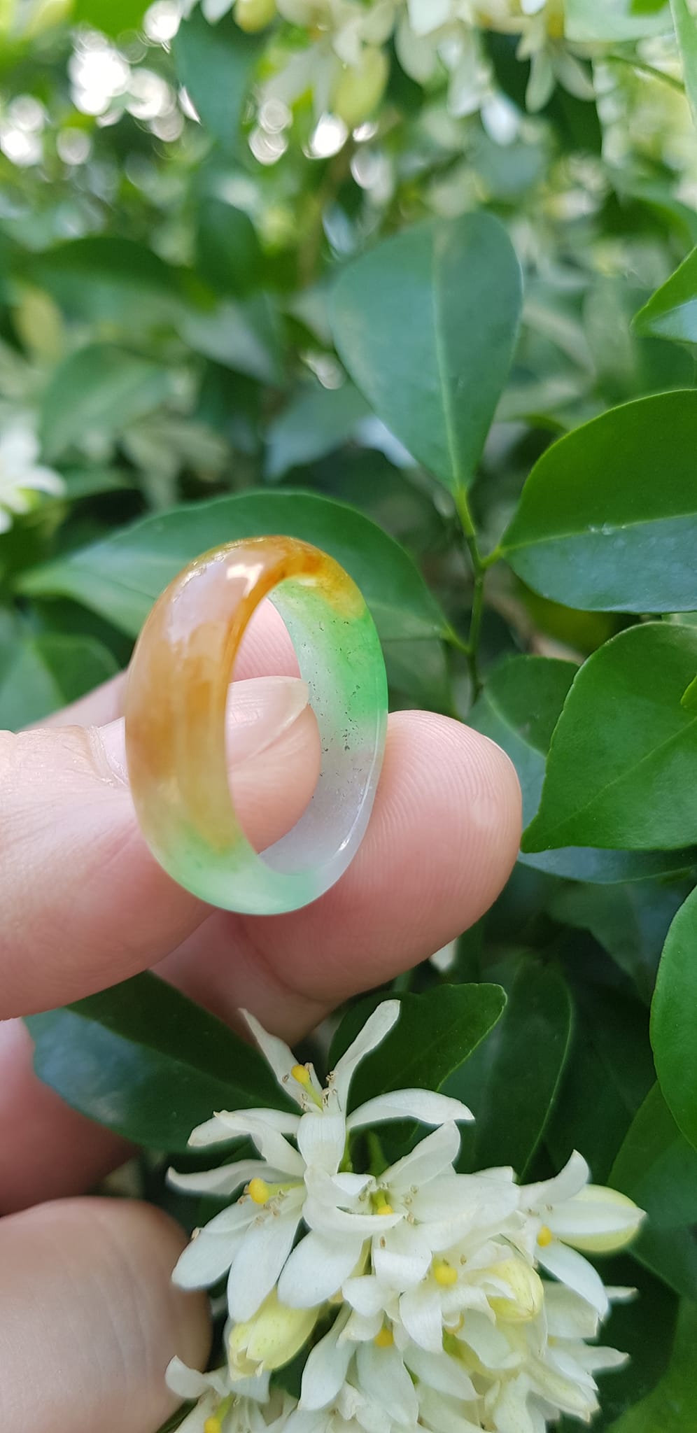 Nhẫn đeo tay nữ đá cẩm thạch tự nhiên Màu Vàng xanh trắng bóng đẹp Nhẫn Ni 17mm x cao 6mm x dầy 2,2mm ạ