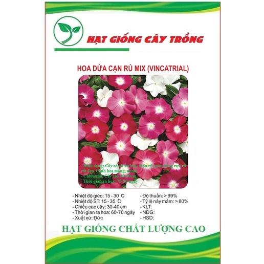 Hạt Giống Hoa Dừa Cạn Rũ F1 Nhiều Màu CT407 - Gói 50 hạt