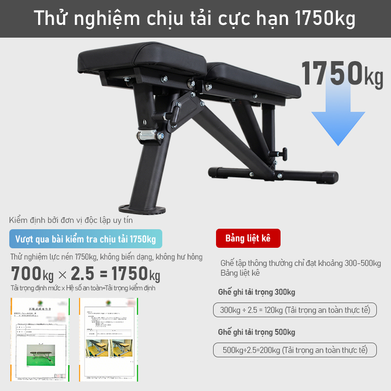 Ghế Tập Thể Hình Đa Năng LYSIN - Ghế Tập Tạ Tay Và Đẩy Ngực Tại Nhà, điều chỉnh linh hoạt 18 mức