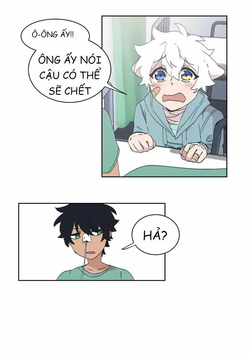 lumine - cội nguồn ánh sáng chapter 31 15