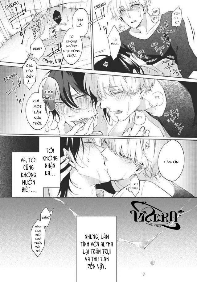 bạn đời giả dối chapter 1 33