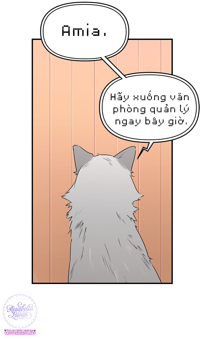 căn hộ kí túc xá của pháp sư chapter 5 62