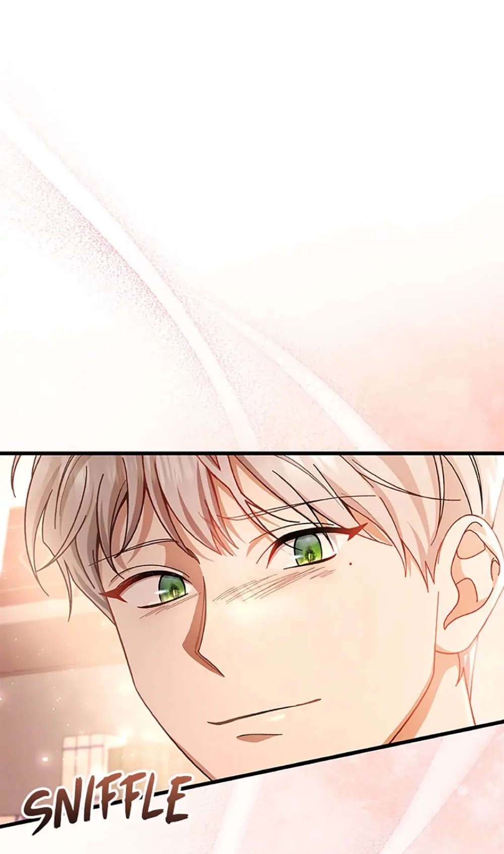 vị cứu tinh của nam phản diện chapter 29 55