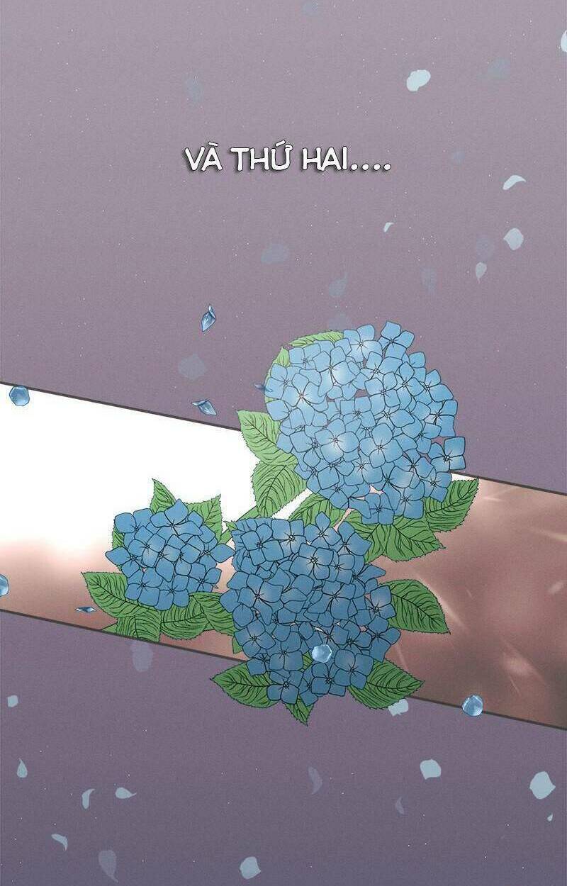 giấc mộng đêm hè chapter 1.3 42