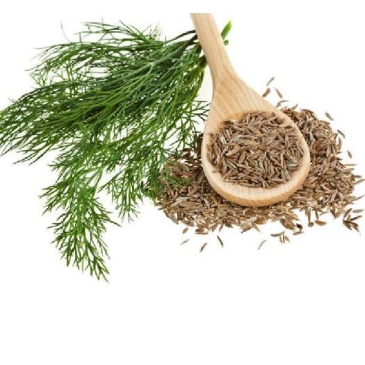20gr hạt thì là 4 mùa cao sản