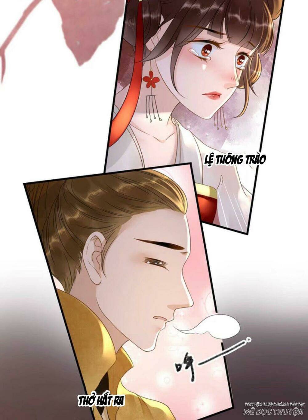 sủng phi của vương chapter 102 21