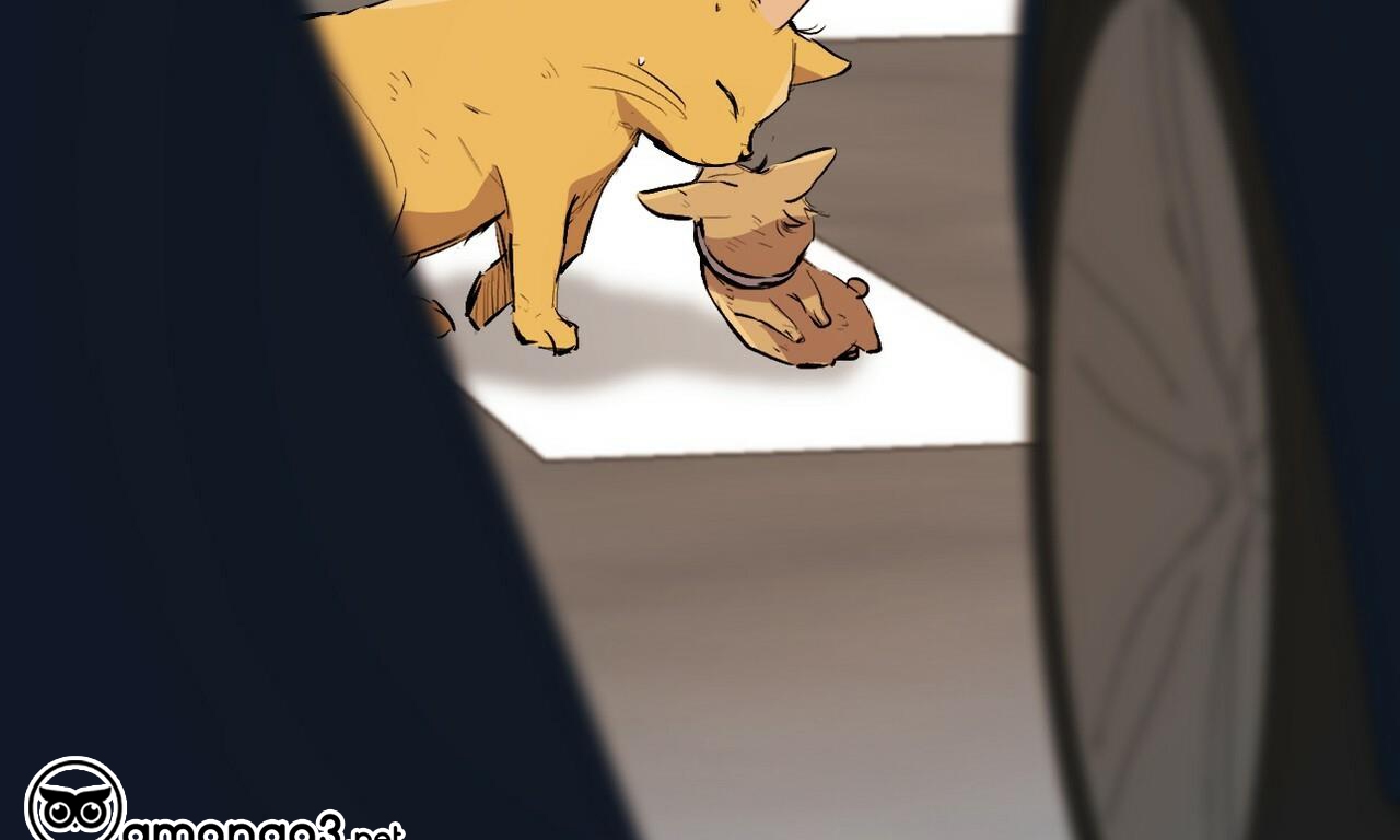 đàn thỏ của habibi chapter 50 191