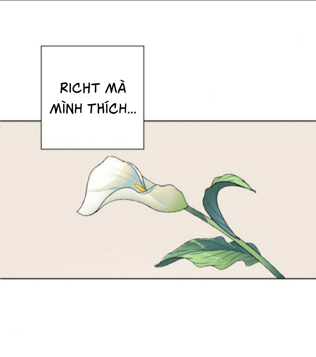 lựa chọn cuối cùng của tôi là nam phụ chapter 4 37