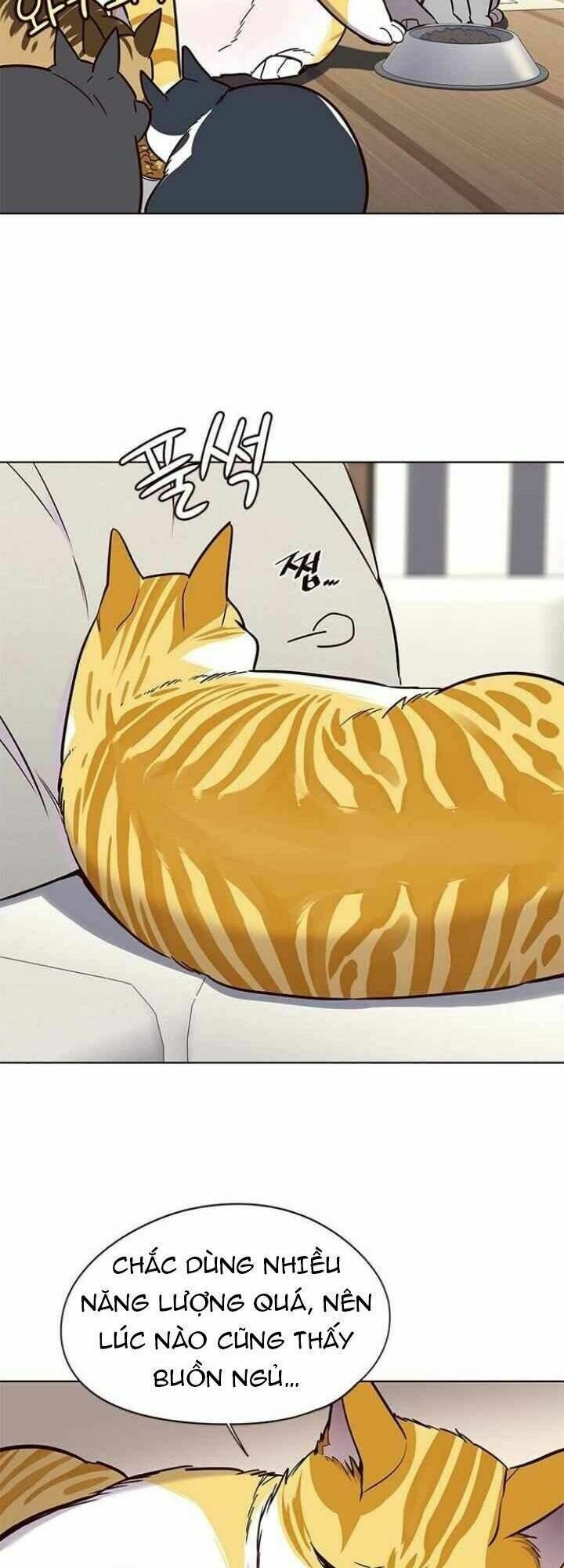 biến thân thành mèo chapter 101 7