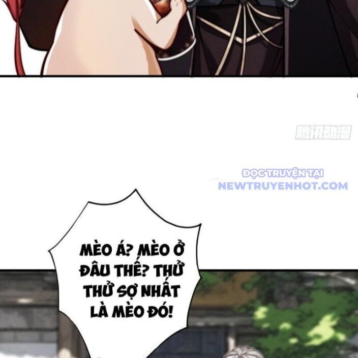 gặp mạnh thì càng mạnh, tu vi của ta không giới hạn chapter 21 13