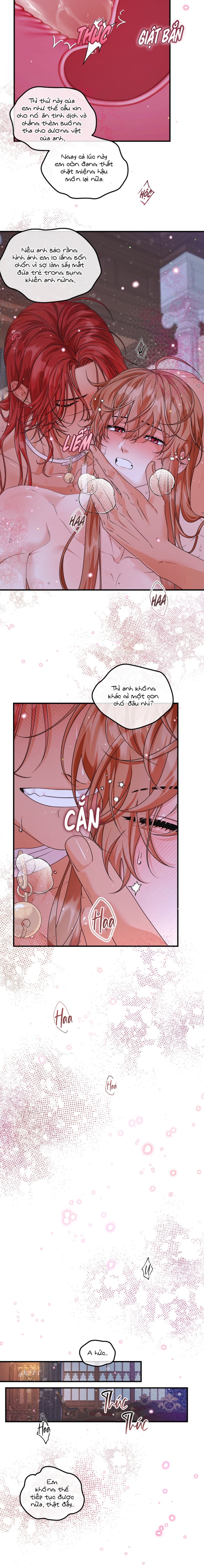 bá tước beta biến đổi thành omega chapter 19 4