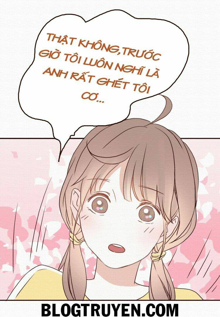 tình yêu không nói dối chapter 16 5