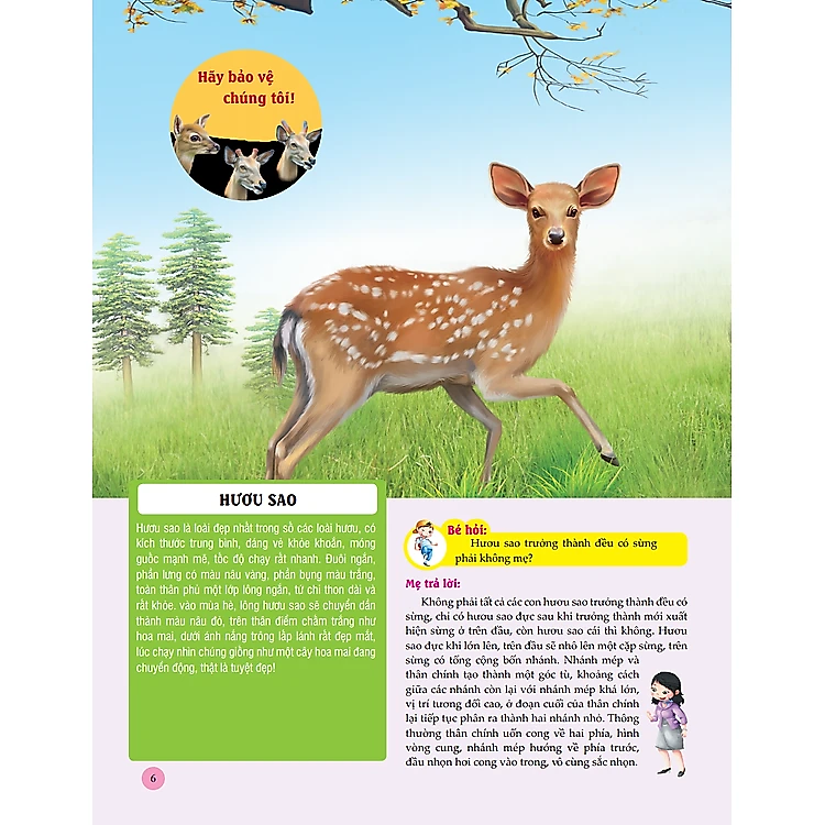 Sách Bách Khoa Toàn Thư Tìm Hiểu Về Trái Đất - ảnh 7