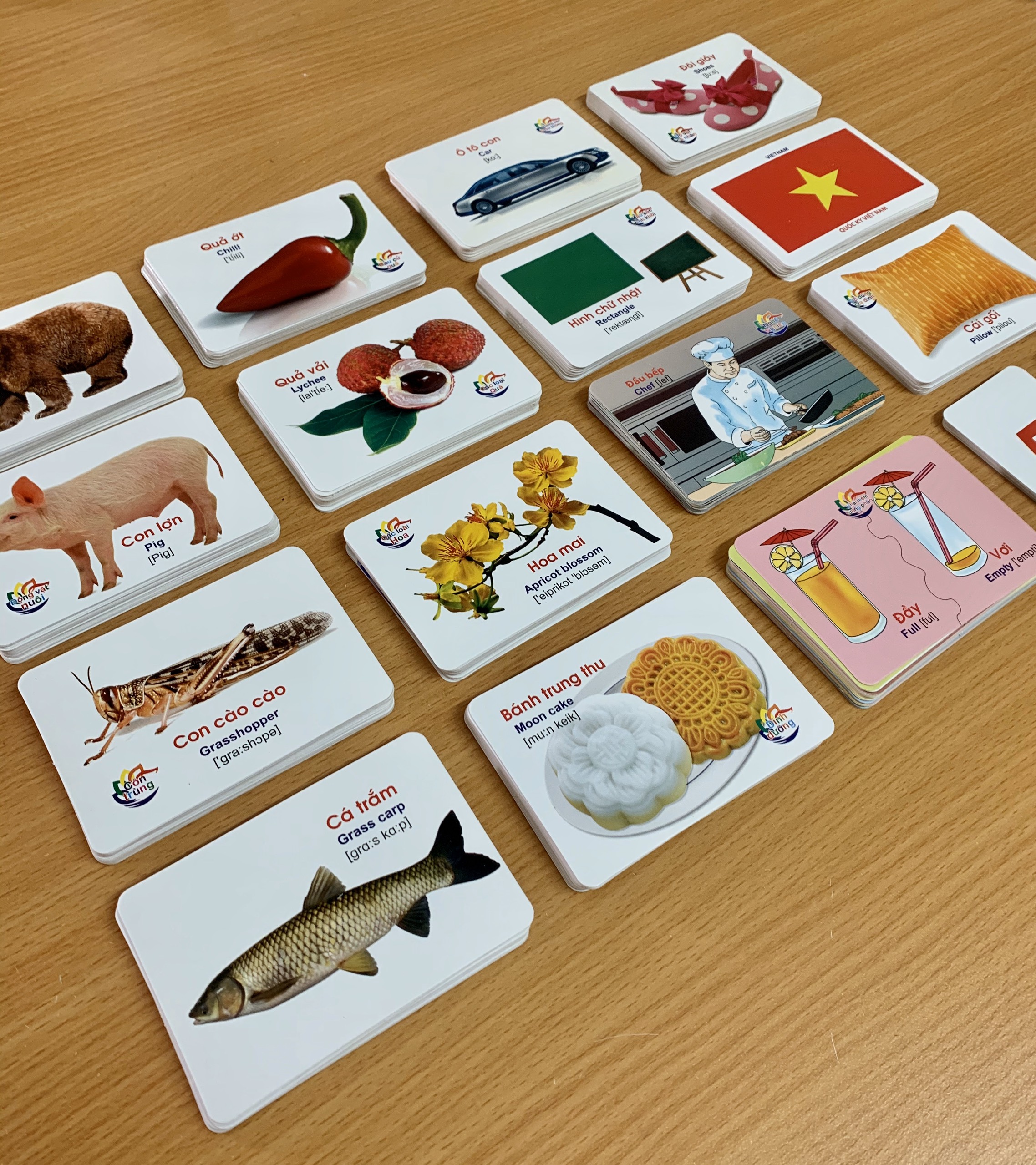 Bộ Thẻ Học Thông Minh thế giới xung quanh Flashcards Cho Bé bộ 416 Thẻ Học với 16 chủ đề