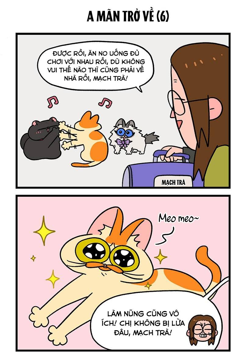 a mãn và mạch trà chapter 50.1 5