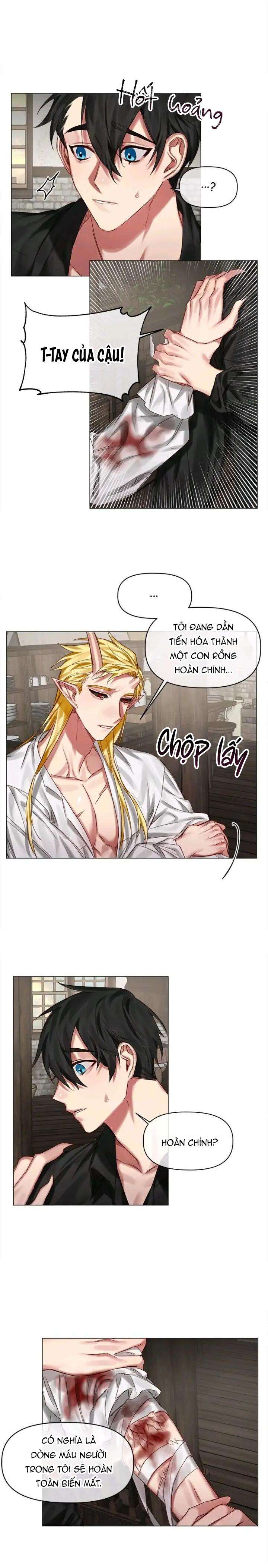 chàng hiệp sĩ và rồng vàng chapter 23 10