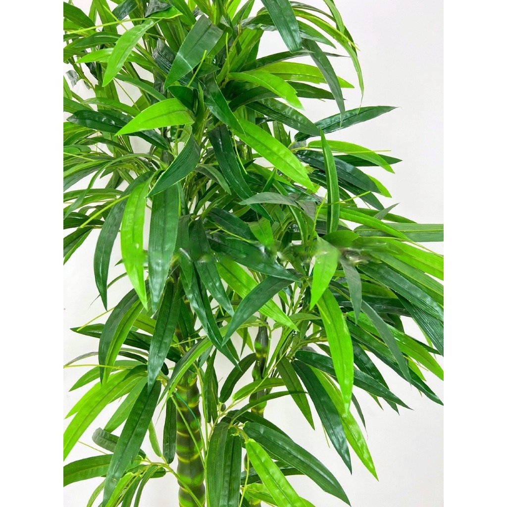 Cây trúc phật bà giả - cao 170cm - 3 nhánh - Cây giả, hoa lụa Decor trang trí nhà cửa